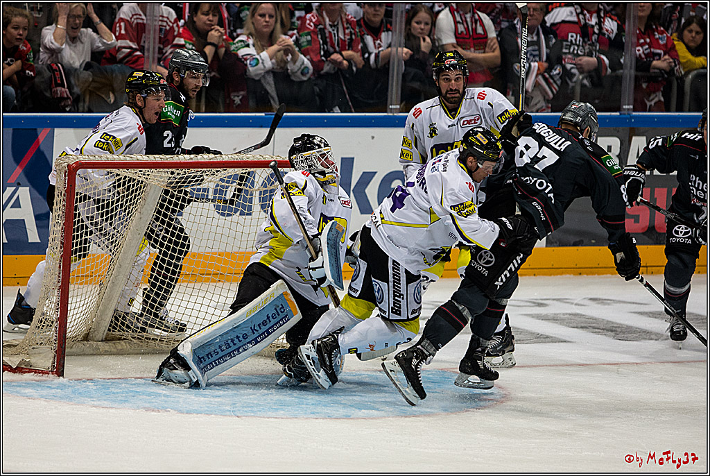 Koelner Haie - Krefeld Pinguine , 23.09.16(KW38)